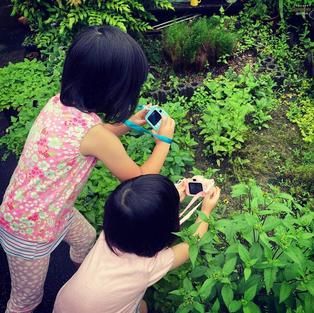 コドモノ！写真部のインスタグラム