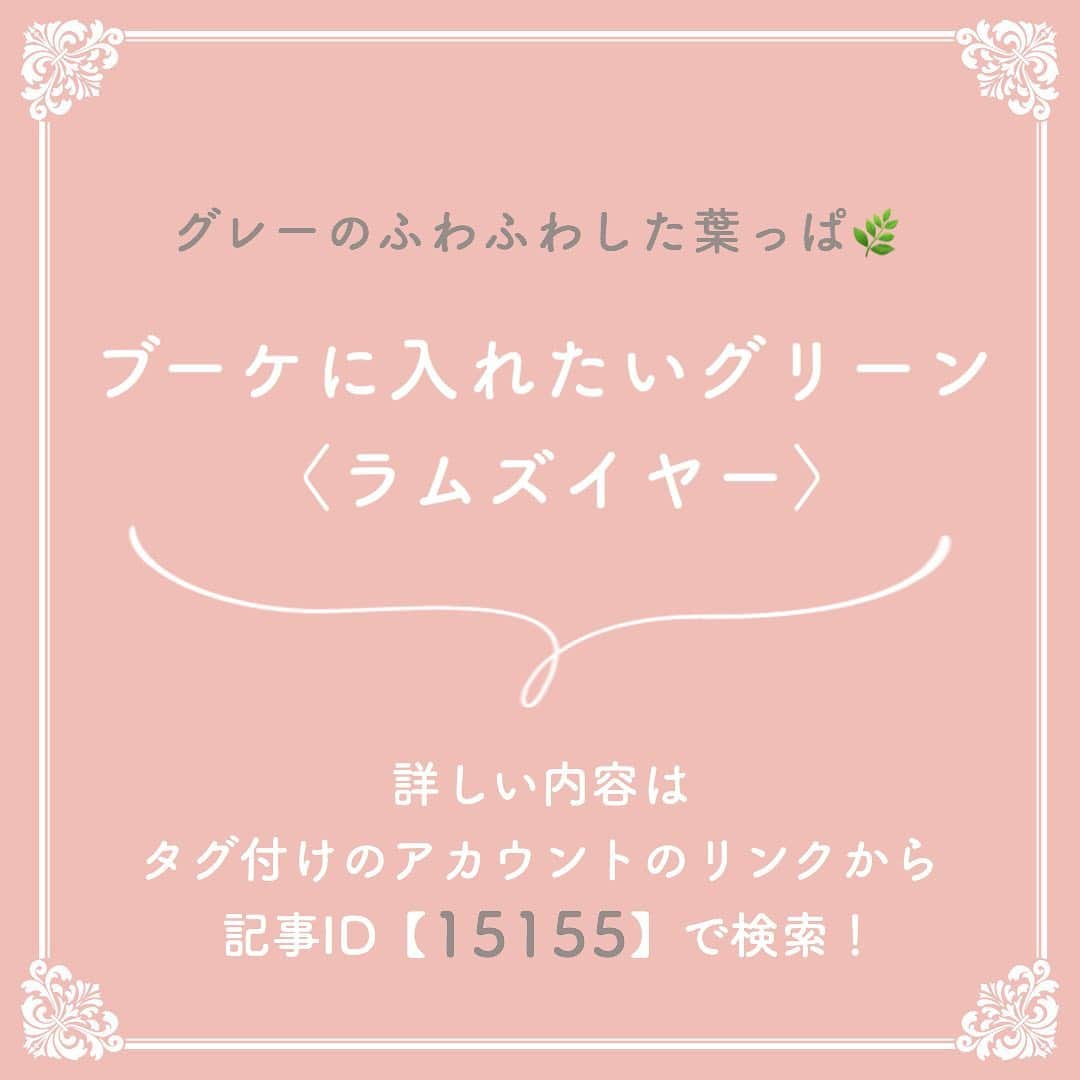 プレ花嫁の結婚式準備サイト marry【マリー】さんのインスタグラム写真 - (プレ花嫁の結婚式準備サイト marry【マリー】Instagram)「marryで人気の記事をピックアップして紹介する、﻿ #marryコラム シリーズ🌿✨﻿ ﻿ ﻿ 今日のテーマは﻿ 「おしゃれなウェディングブーケ」の記事をピックアップしました💎﻿ ﻿ *﻿ 前撮りのブーケや 結婚式のブーケを探している花嫁さんは、﻿ 画像にタグ付けしてある﻿ @marryxoxo_id のアカウントのURLに飛んで、﻿ 指定の記事番号を入力してご覧ください💛﻿ ﻿ ﻿ ﻿ ﻿ ﻿ marryは「世界中の可愛い」を集める﻿ ウェディングサイトです💎﻿ ﻿ サイト内には、﻿ 結婚式のアイデアを紹介する記事が1万以上✨﻿ 毎日朝6時と夕方5時に新着記事をUP✨﻿ @marryxoxo_wd の﻿ プロフィールURLからチェックできます💍﻿ ﻿ ﻿ ﻿ くまとうさぎのイラストは、﻿ LINEスタンプで販売中🌷﻿ 「世界一可愛い花嫁スタンプ」﻿ 「世界一可愛い花婿スタンプ」﻿ でスタンプショップで検索してみてください🐻🐰﻿ ﻿ ﻿ ﻿ #プレ花嫁#婚約#結婚式#2020冬婚#2020春婚#2020秋婚#2020夏婚#2021春婚#2021冬婚#結婚しました#プロポーズ#ブーケ#ウェディングブーケ#クラッチブーケ#アームブーケ#ブーケデザイン#挙式ブーケ#前撮りブーケ」7月29日 20時37分 - marryxoxo_wd