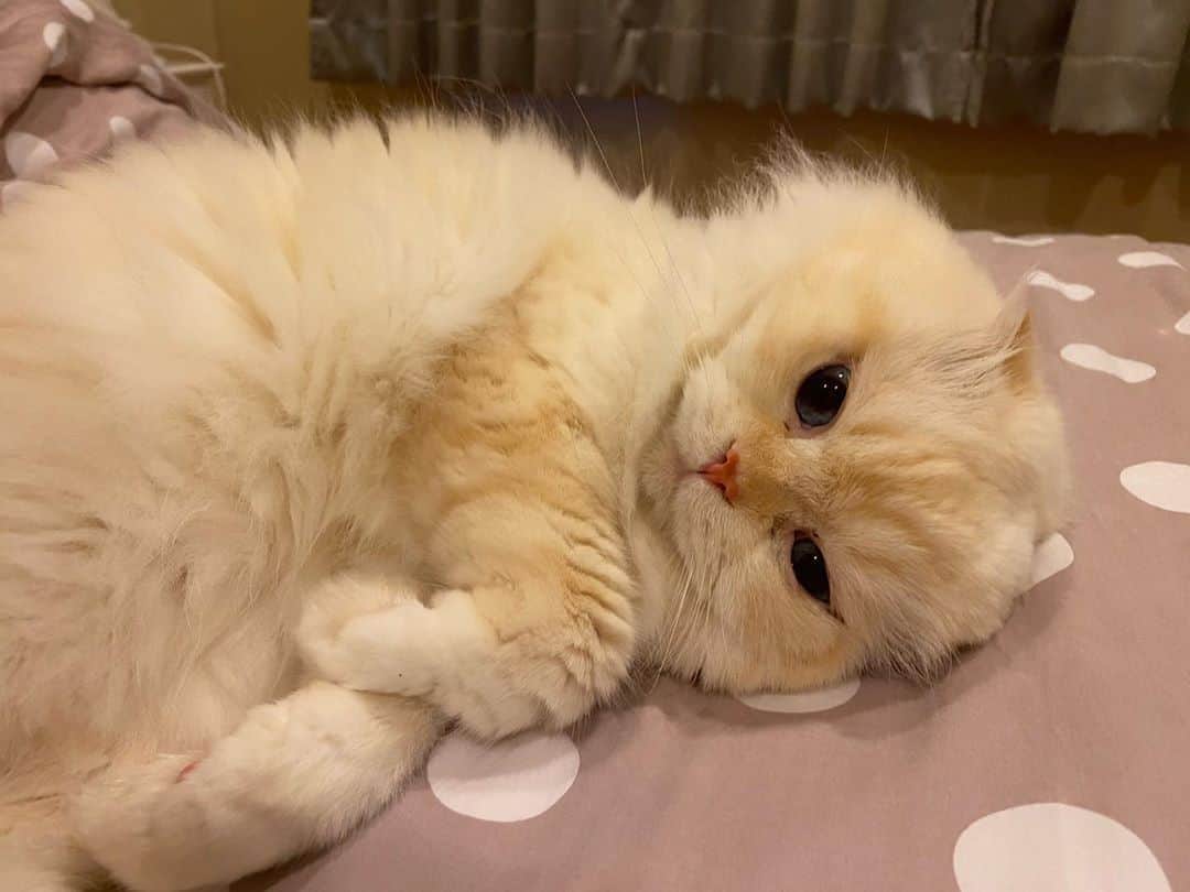 Haruのインスタグラム
