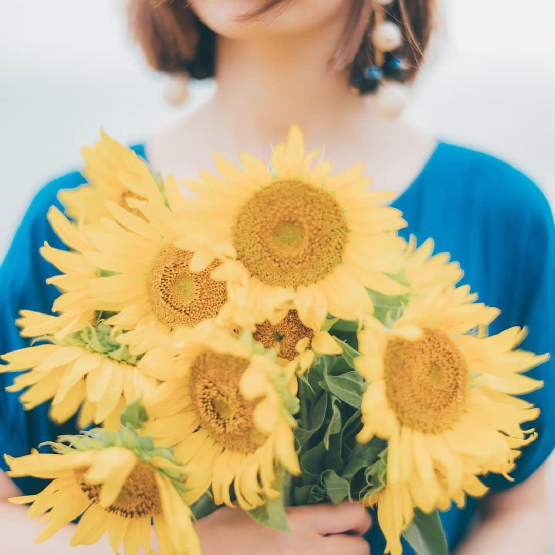 sorayuchiのインスタグラム：「・ ヒマワリ🌻が撮りたいです📷」
