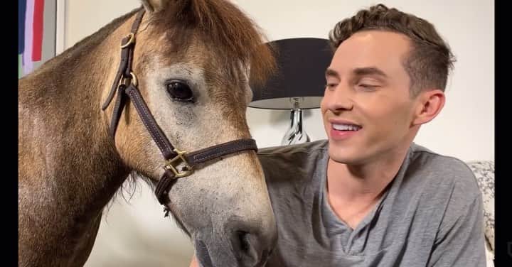 アダム・リッポンのインスタグラム：「That feeling when there’s a horse in your house when you thought it was a dog. **Link in the bio to watch the whole vid🐴** @celebshowoff #CelebShowOff」