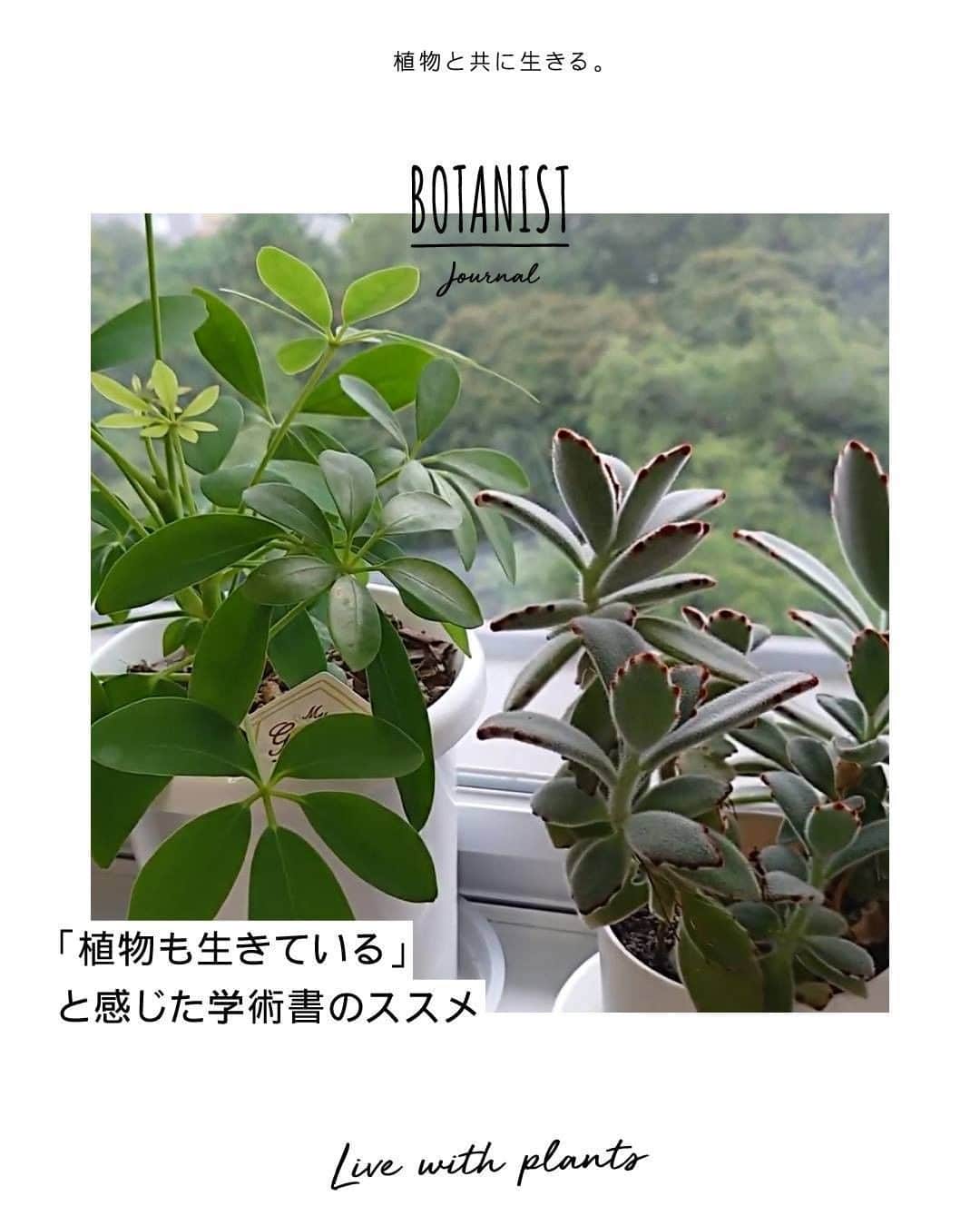 botanist officialのインスタグラム