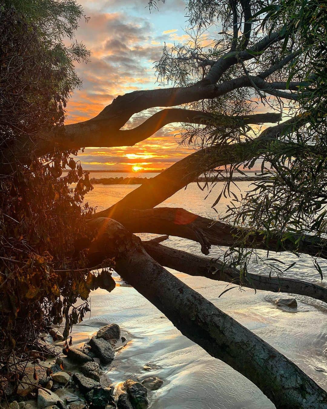 シャーニ・ヴィンソンのインスタグラム：「🏡 🌅 🌊」