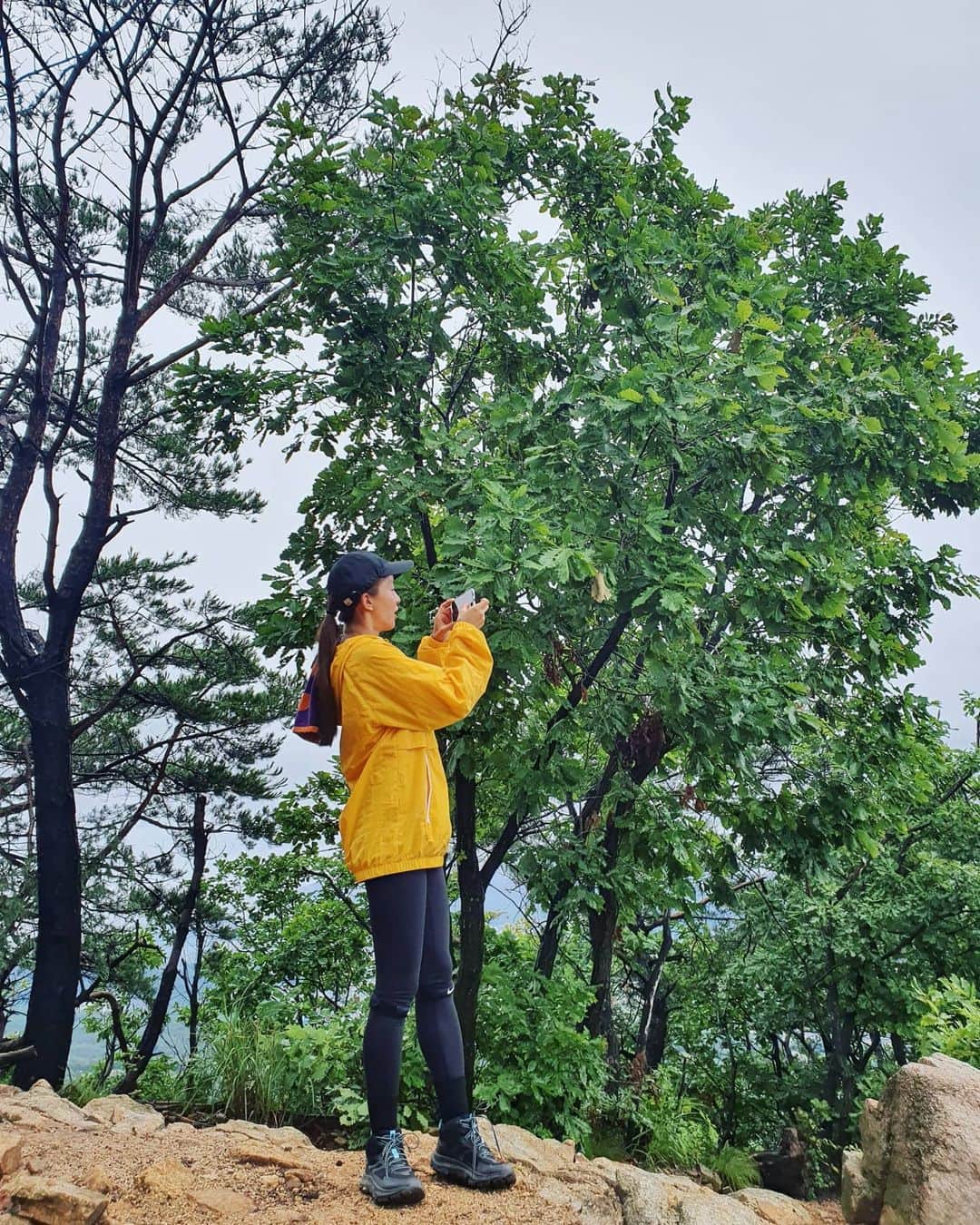 イ・シヨンさんのインスタグラム写真 - (イ・シヨンInstagram)「🌿 1.여기서 10분은 바라본듯😍 2.오늘도 함께해준@ililil0606 고마워.주차하고 백화암가는길 3.백화암근처 계곡길🌊 4.펭귄바위(불곡산은 바위가 참많다.#펭귄바위#악어바위#공기돌바위#복주머니바위#물개바위#엄마가슴바위 담에는 #불곡산#바위투어 가야지😊🗿) 5.이미주인없는집이지만 비와서 멋진 거미줄🕸🕷 6.저기가바로 내맘대로 포토스팟📸 7.물개바위 8.#백화암 약수터? 9.우오오하면서 펭귄바위찍는듯 10.100점불곡산이었음💯」7月29日 21時30分 - leesiyoung38