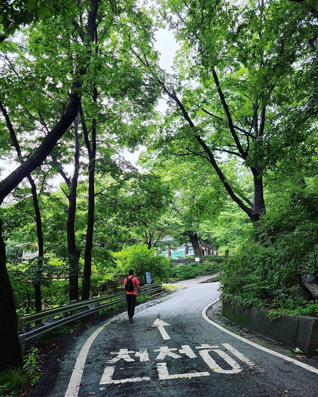 イ・シヨンさんのインスタグラム写真 - (イ・シヨンInstagram)「🌿 1.여기서 10분은 바라본듯😍 2.오늘도 함께해준@ililil0606 고마워.주차하고 백화암가는길 3.백화암근처 계곡길🌊 4.펭귄바위(불곡산은 바위가 참많다.#펭귄바위#악어바위#공기돌바위#복주머니바위#물개바위#엄마가슴바위 담에는 #불곡산#바위투어 가야지😊🗿) 5.이미주인없는집이지만 비와서 멋진 거미줄🕸🕷 6.저기가바로 내맘대로 포토스팟📸 7.물개바위 8.#백화암 약수터? 9.우오오하면서 펭귄바위찍는듯 10.100점불곡산이었음💯」7月29日 21時30分 - leesiyoung38