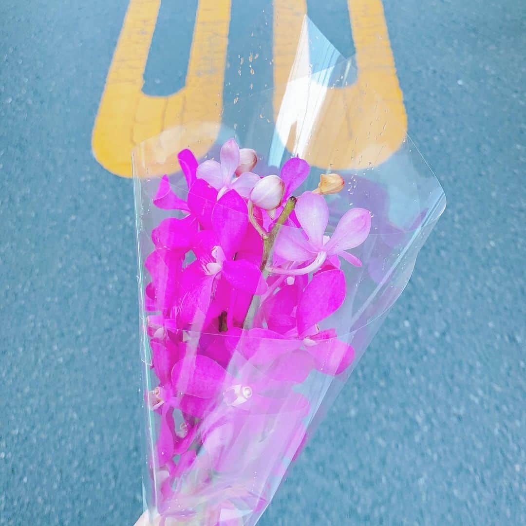 久保陽香さんのインスタグラム写真 - (久保陽香Instagram)「﻿ ﻿ お花の形が可愛いモカラさん。﻿ 玄関に。﻿ ﻿ ﻿ #モカラ ﻿ #花言葉﻿ #優美﻿ #くぼお花」7月29日 21時28分 - kubo_haru
