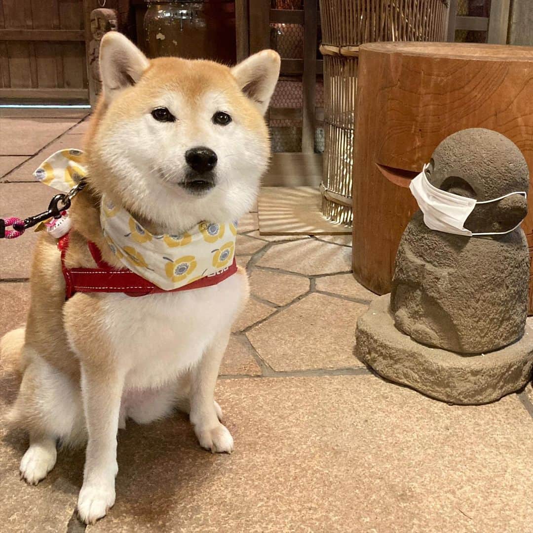 てんパパのグルメインスタ