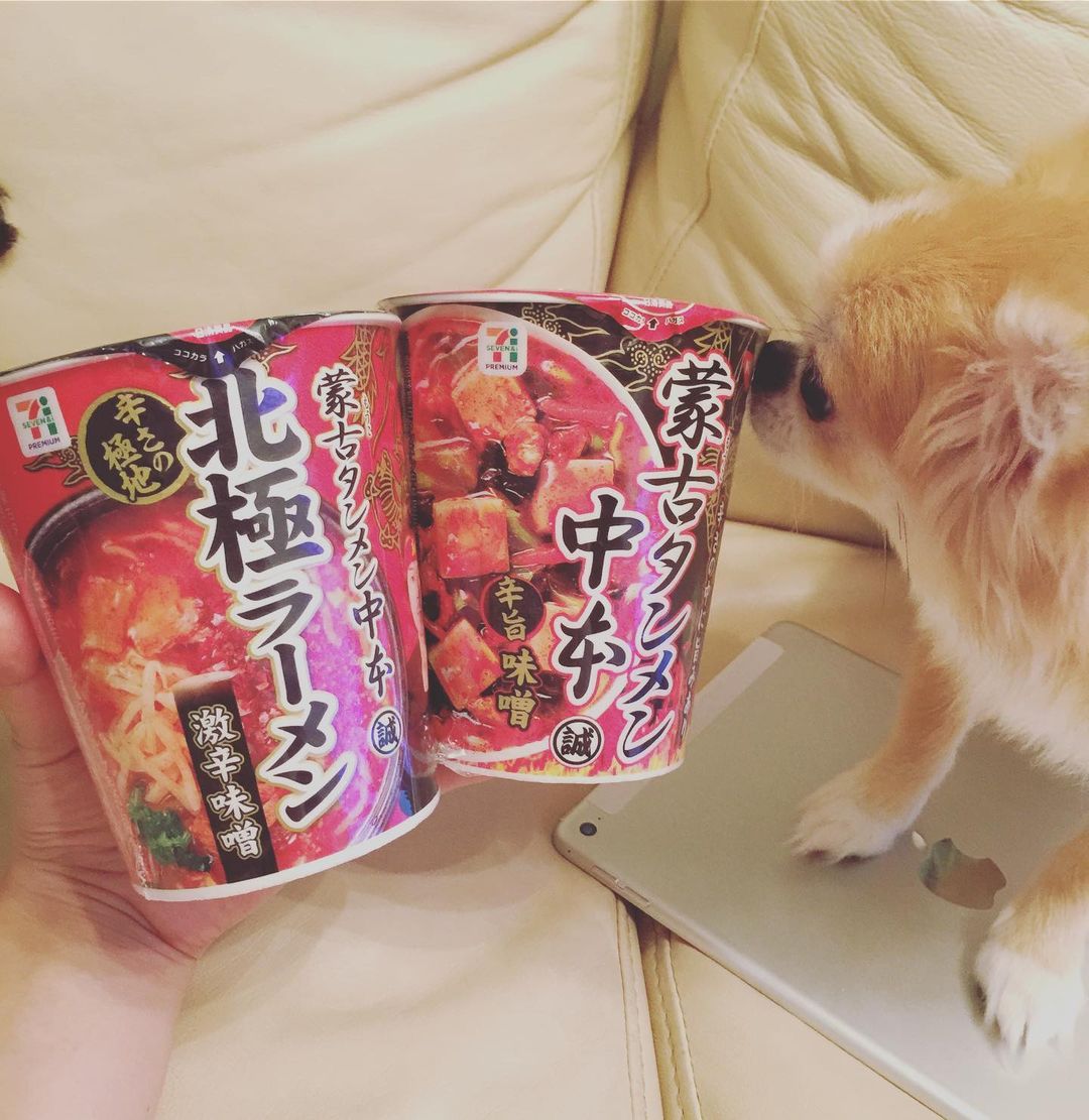 香西咲さんのインスタグラム写真 - (香西咲Instagram)「ついに#蒙古タンメン中本カップ麺 #中本 買っちゃった😋  ムシャクシャしたらこれ食べる❣️❣️❣️ 食べていっぱい汗かいてお腹も緩んでデトックス（笑）👍 頭も身体もスッキリ😋  もうこれストックするしか❣️❣️❣️❣️」7月29日 22時09分 - saki.kouzai