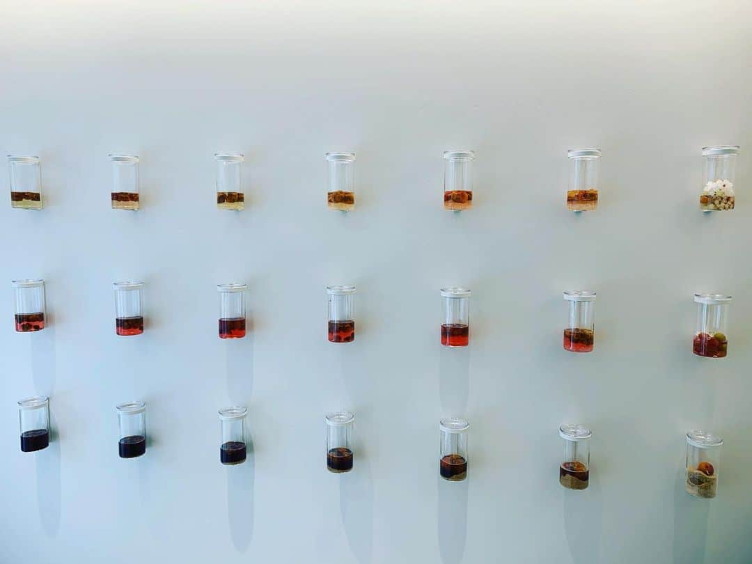 原田麻子のグルメインスタ