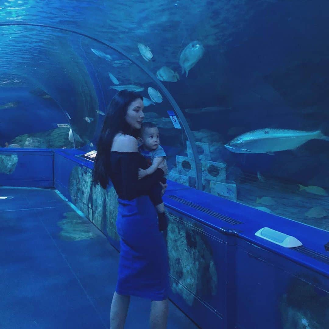 テイラー鈴木さんのインスタグラム写真 - (テイラー鈴木Instagram)「初めて家族で水族館に行きました✨ 今夜はお魚の夢を見てるかな〜🐙🐬🐠🦈🐟🐡💗　#aquaman I wonder if tonight, he’ll dream of all the fishies he saw today 😌😘」7月29日 22時37分 - taylorsuzuki