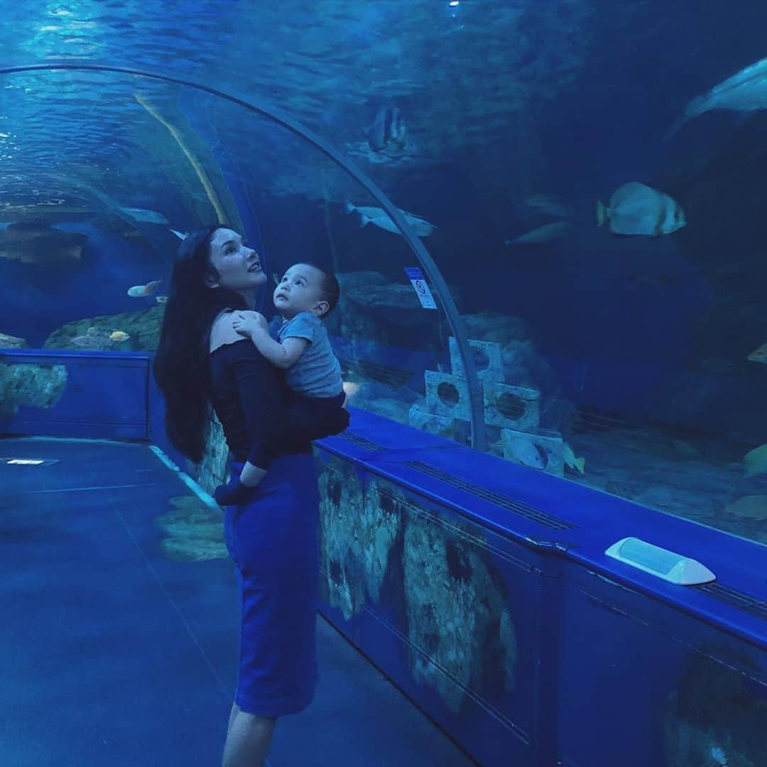 テイラー鈴木のインスタグラム：「初めて家族で水族館に行きました✨ 今夜はお魚の夢を見てるかな〜🐙🐬🐠🦈🐟🐡💗　#aquaman I wonder if tonight, he’ll dream of all the fishies he saw today 😌😘」