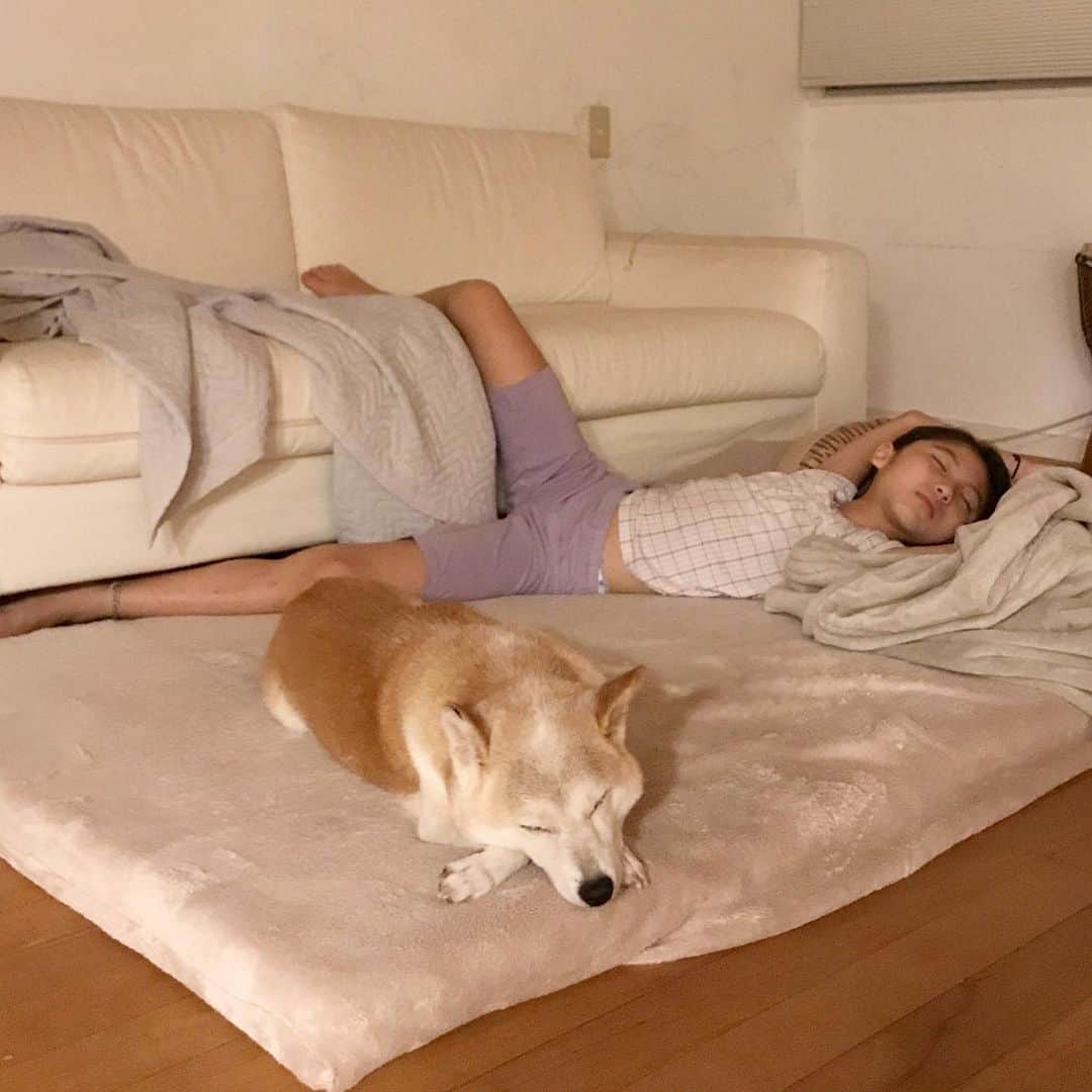 のインスタグラム：「2人👧🏻🐶がこんなことで寝とる💤さてどうしましょ？🙄」