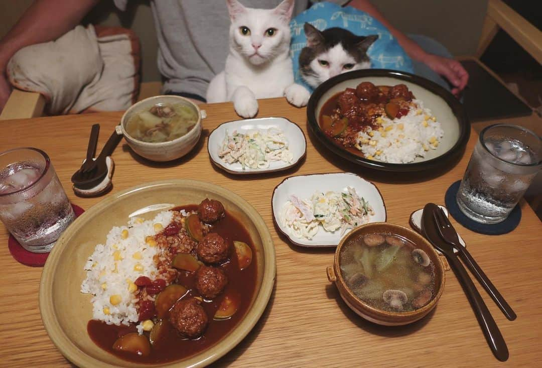 八、おこめさんのインスタグラム写真 - (八、おこめInstagram)「明日楽するご飯♩ ハッチャンはミートボールをガン見❤︎ 明日どころか明後日までもつ量できたw ミートボール、ズッキーニ、トマトの林さん♩ と、キャベツ、マッシュルーム、大豆のコンソメスープ。 ほんで買ってきたサラダ3種盛り。 #とうもろこしご飯 #ハヤシライス #八おこめ #ねこ部 #cat #ねこ #猫 #ネコ #八おこめ食べ物」7月29日 22時43分 - naomiuno