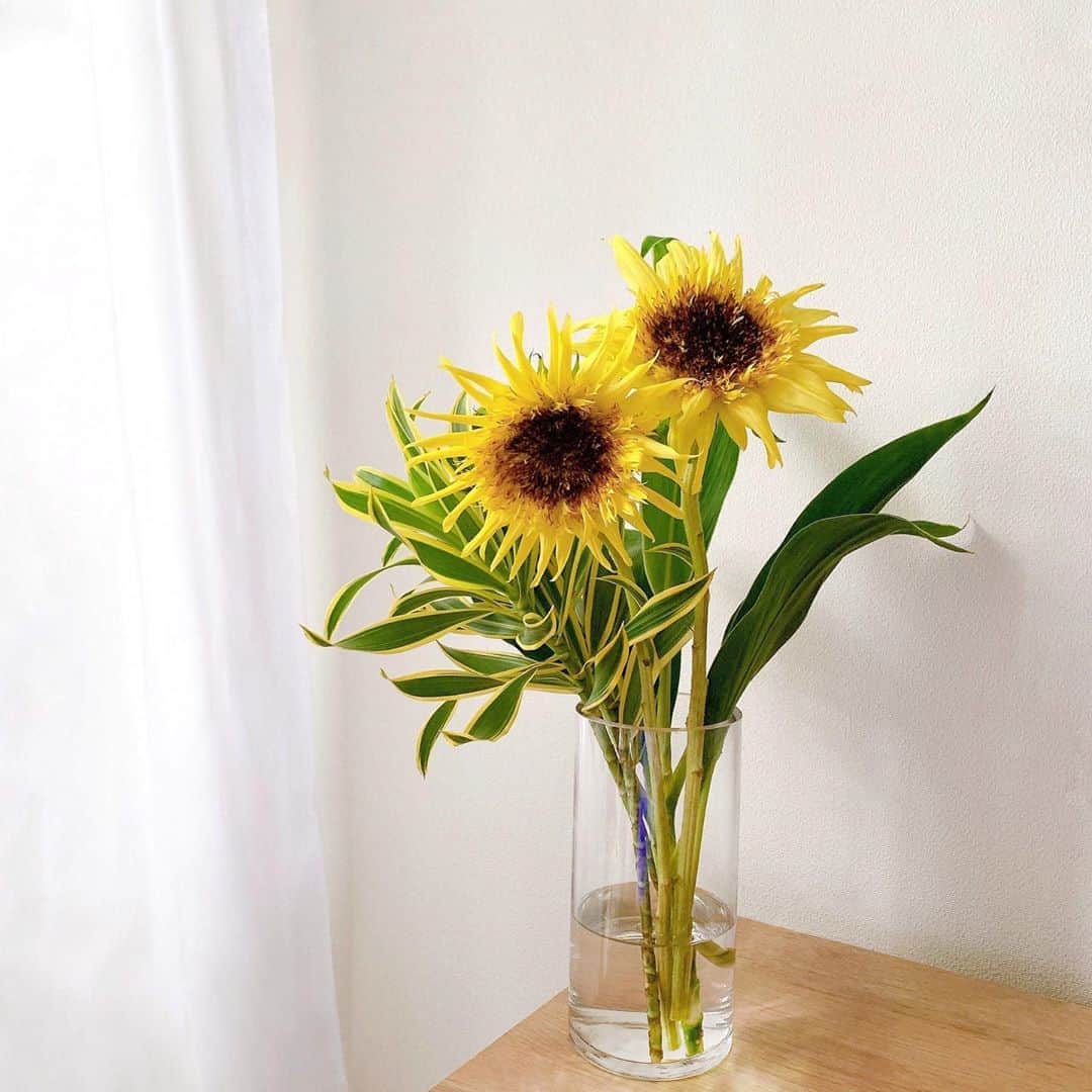 Sayakaのインスタグラム：「* どんよりなお天気続きで 梅雨明けが待ち遠しすぎる🌻🌻🌈✨ . . #flower #flowers #flowerlovers #floweroftheday #flowerstagram #flowerarrangement  #sunflower #sayakasflower  #花 #ひまわり #向日葵 #花のある暮らし #花のある生活」