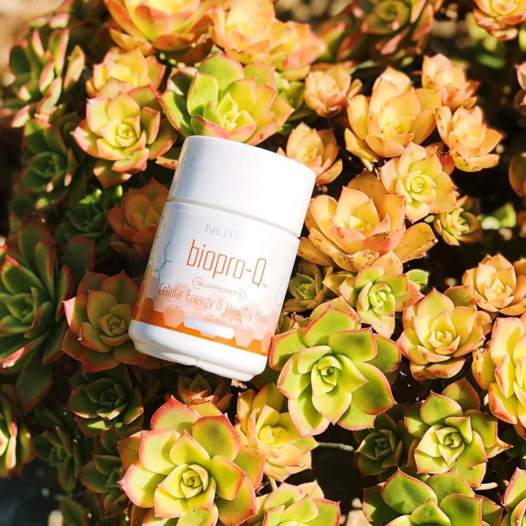 のインスタグラム：「The best of 🌱 nature's best.⁠ ⁠ Biopro-Q is a dynamic fusion of Ubiquinol, the most potent form of CoQ10, and BioPerine®, a patented black pepper extract that enhances bioavailability for optimal nutrient absorption. This powerful duo helps boost youthful cellular energy production by acting like a spark plug that ignites energy generation within the cells. 🧡⁠ ⁠ ⁠ ⁠ ⁠ ⁠ ⁠ #ariix360 #bioperine #coq10 #ubiquinol #nutrifii #ariixproducts #optimals #optimalv #optimalm #omegq #vinali #bioproq #magnicald #rejuveniix #health #healthy #supplements #nutrition #wellness #takeyourvitamins #antioxidants #healthylifestyle #nutrients #glutenfree #sansgluten #superfoods #nogmo #soyfree #myariixlife #vitamins」