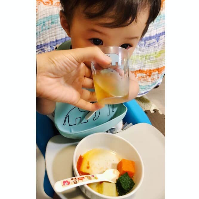 世手子さんのインスタグラム写真 - (世手子Instagram)「My son is 8 months old(*´꒳`*) He is curious about everything and eat a lot of baby foods(*´◒`*) Additive-free is wonderful✨ He drank a glass☕️ https://tsuchitone.com/ @tsuchitone #土と根 の #離乳食 食べたょ( ^ω^ ) @donebydeer_japan #donebydeer_japan の #ビブ で#無添加 の #有機野菜 を堪能しました(´∀｀*) シンプルで可愛いデザイン(°▽°) 今日でなんと #生後8ヶ月 ⭐️ なんでも #興味津々 なお年頃w #donebydeer のコップも楽しいみたいw かわいいコップ(^ ^) #コップデビュー したけどちょっとしか飲めなかったww 今日は土と根の #離乳食メニュー で トマト にんじん ほうれん草 キャベツ 鯛 お粥 お豆腐  ちょっと盛りだくさん過ぎたかな？w もう #つかまり立ち して #一人歩き も時間の問題でびっくりな 椅子は @bumbo_japan #bumbo #マルチシート  急成長 にあたしついていけてないww しかも今のご時世なかなか外出れないねぇwww 明日も #育児 がんばりまーす！ww #ダンバイディア #nookswebshop #離乳食初期 #離乳食中期  #monipla #nooks_fan #sponsored  #8months #8ヶ月ベビー #8monthsold #8monthsbaby  #8ヶ月離乳食 #8ヶ月ボーイ #8ヶ月baby」7月29日 23時53分 - rojide