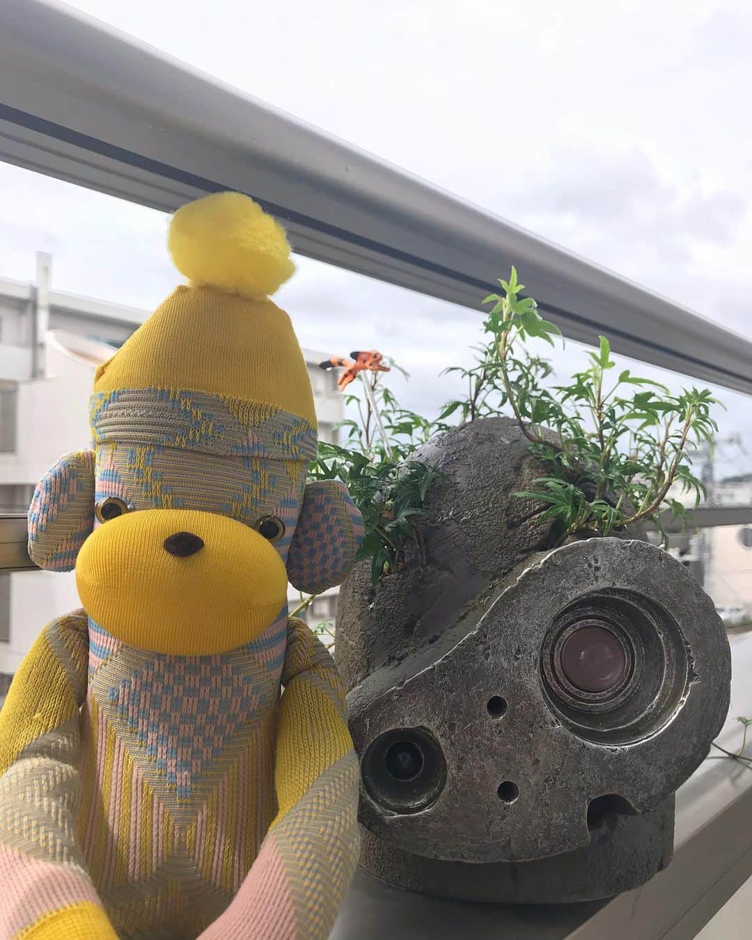 のインスタグラム：「Heather gray sky, but still happy as just like Ayame fabrics☁️🧦 まる4ヶ月ぶりに大規模修繕の足場が外れて超ハッピー🙌🏼 #曇り空 #ayamesocks #ayamesockmonbear #tokyosky #sockmonkey #ロボット兵の思い」