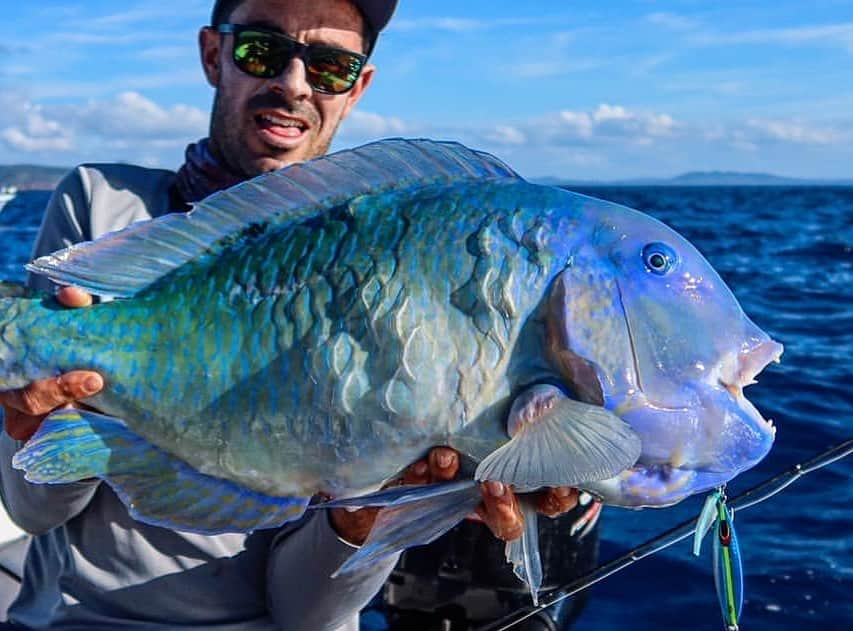 Electric_Fishingさんのインスタグラム写真 - (Electric_FishingInstagram)「@frothcafe2 with a beautiful tusk fish caught while jigging in Australia 🤙  #ElectricSunglasses #PolarizedSunglasses #StyleThatPerforms #ElectricFishing」7月30日 10時21分 - electric_fishing