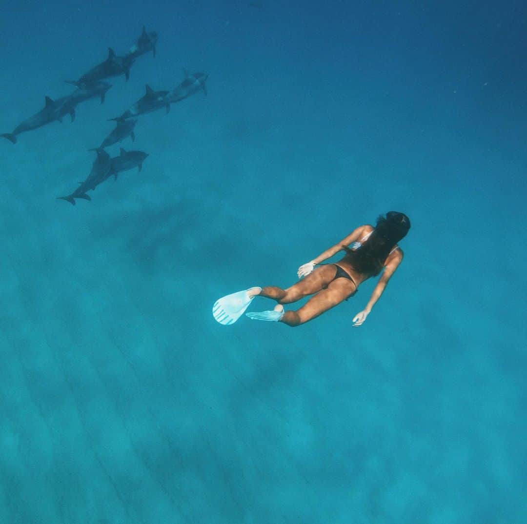 マリア・マーフィーのインスタグラム：「Soaking up every moment with these magical creatures 💫❤️🐬」
