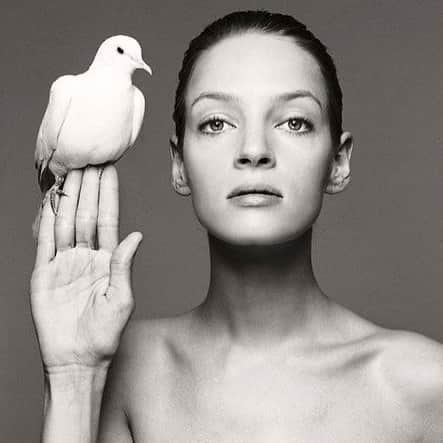 デレク ラムのインスタグラム：「Bird in the hand... @richardavedonfoundation #umathurman #sweetbirdofyouth」