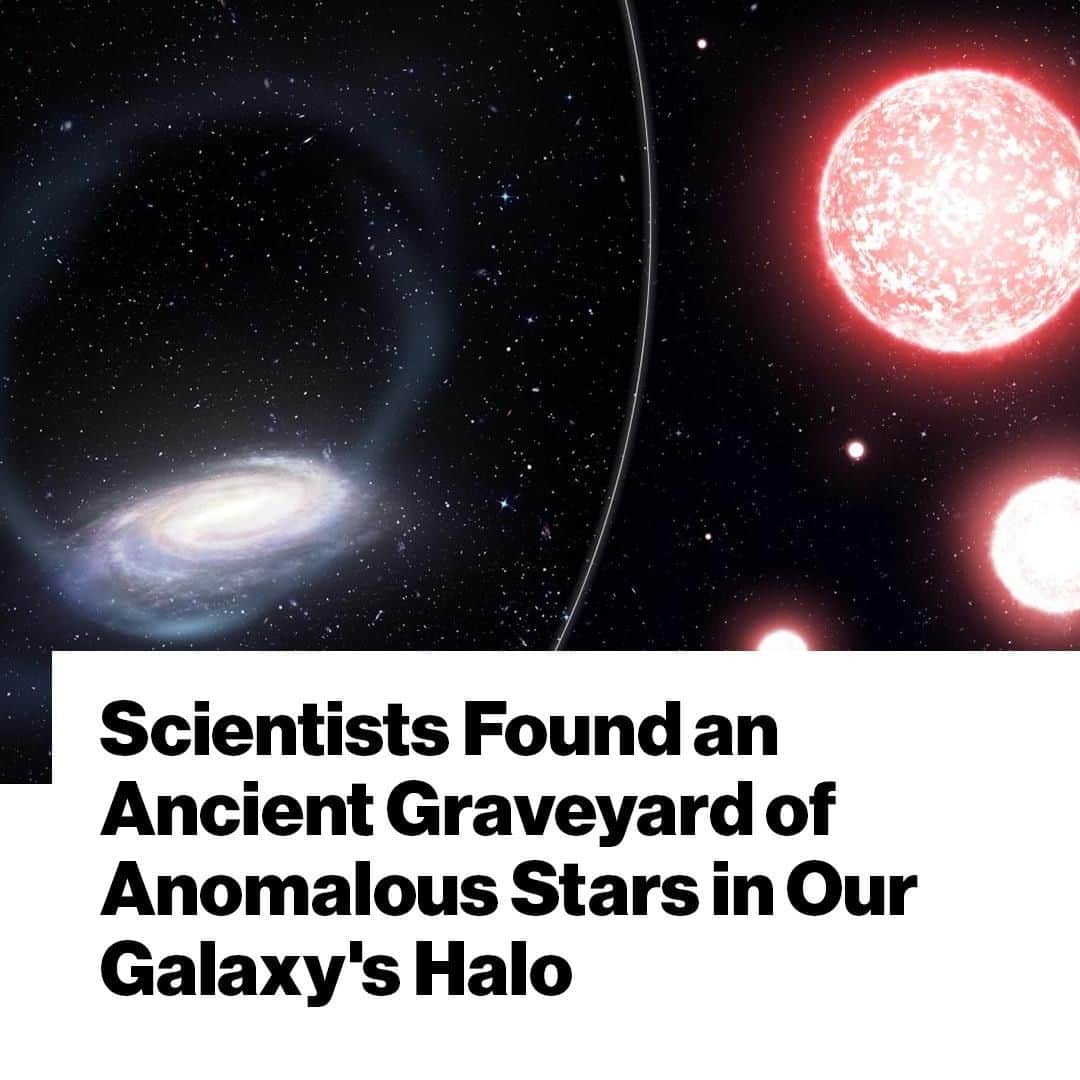 VICEさんのインスタグラム写真 - (VICEInstagram)「Astronomers have discovered the remains of an ancient family of stars that was ripped apart by our galaxy, the Milky Way, some two billion years ago.⁠ ⁠ These elder stars once occupied a globular cluster, a spherical formation of stars, until they were flung into the Milky Way’s halo some 60,000 light years from Earth, forming a stellar river called the Phoenix Stream. This bygone globular cluster, known as the Phoenix progenitor, “apparently occupies a special position, which is distinctly different from the present-day globular cluster population observed in the local Universe,” according to a study published on Wednesday in Nature.⁠ ⁠ Whether or not stars have ghosts that can haunt us remains to be seen.⁠ ⁠ Link in bio.⁠ 📸: JAMES JOSEPHIDES (SWINBURNE ASTRONOMY PRODUCTIONS) AND THE S5 COLLABORATION」7月30日 2時35分 - vice