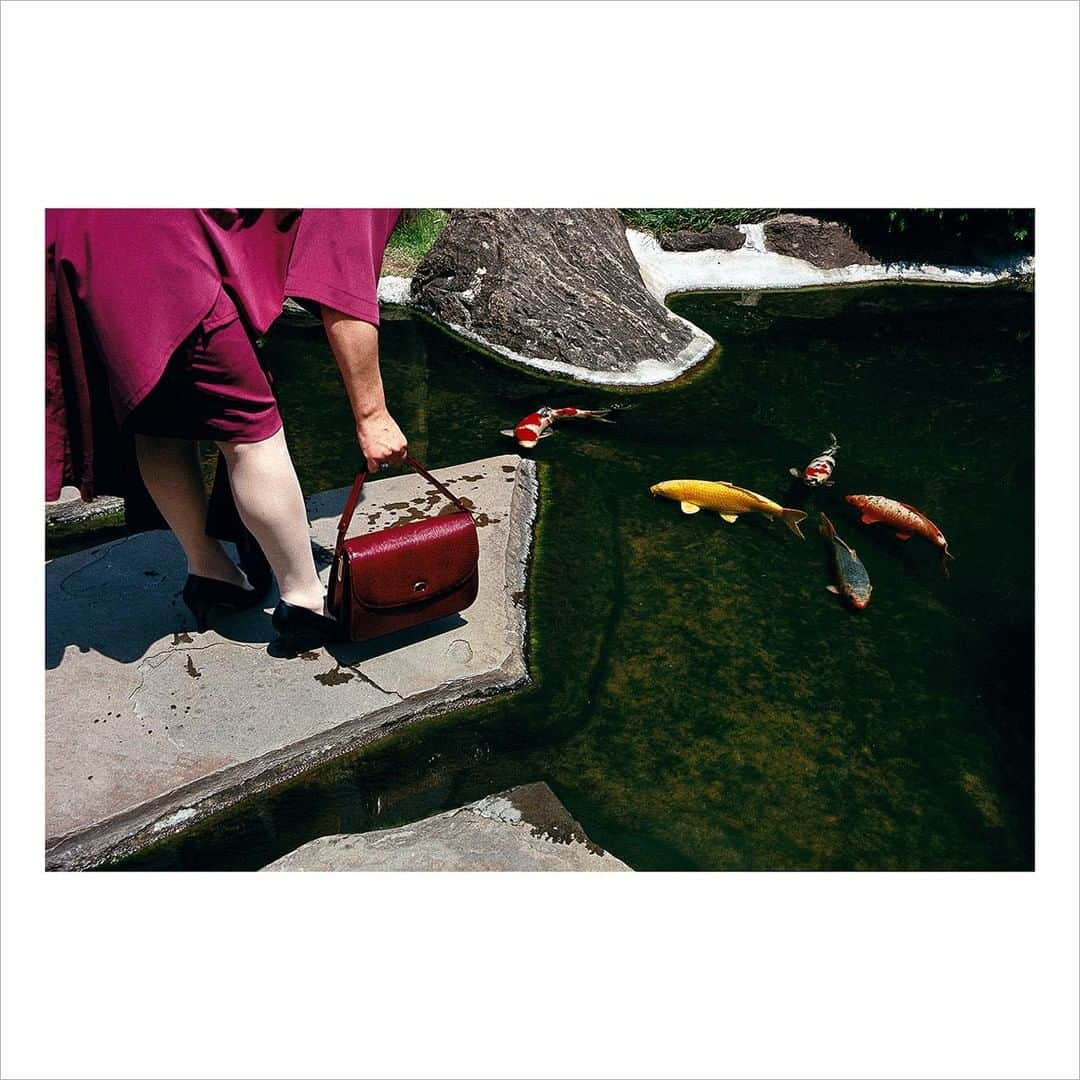 Magnum Photosさんのインスタグラム写真 - (Magnum PhotosInstagram)「“Freedom, equality, fraternity and solidarity — in the whirlwind of society, these values form mosaics in many of our relationships. But nature came up with two main tools in its construction of harmony: its own form of scissors and glue. ⁠ .⁠ At some point while watching how my children grow up, I discovered the cutting of the umbilical cord. Emancipation means gaining independence: leaving home— freedom! ⁠ .⁠ And what is the opposite of emancipation? It is love! I remember these voluntary shackles and my children’s births. Then their emancipation and leaving home.” – Gueorgui @pinkhassov⁠ .⁠ Solidarity, the July Magnum Square Print Sale, in support of the @naacp and in collaboration with @voguemagazine, is live until Sunday.⁠ .⁠ Build your photography collection with this unique opportunity to purchase signed or estate-stamped prints by over 100 of the world’s leading photographic artists for $100, with Magnum photographers and Vogue both donating 50% of their proceeds to National Association for the Advancement of Colored People (@naacp), the longest-running, and largest civil rights organization in the United States.⁠ .⁠ Link in bio to see the full selection.⁠ .⁠ PHOTO: Hotel garden in Akasaka, Tokyo, Japan. 1996.⁠ .⁠ © @pinkhassov/#MagnumPhotos⁠ ⁠ #MAGNUMSQUARE #Solidarity #printsale」7月30日 3時01分 - magnumphotos