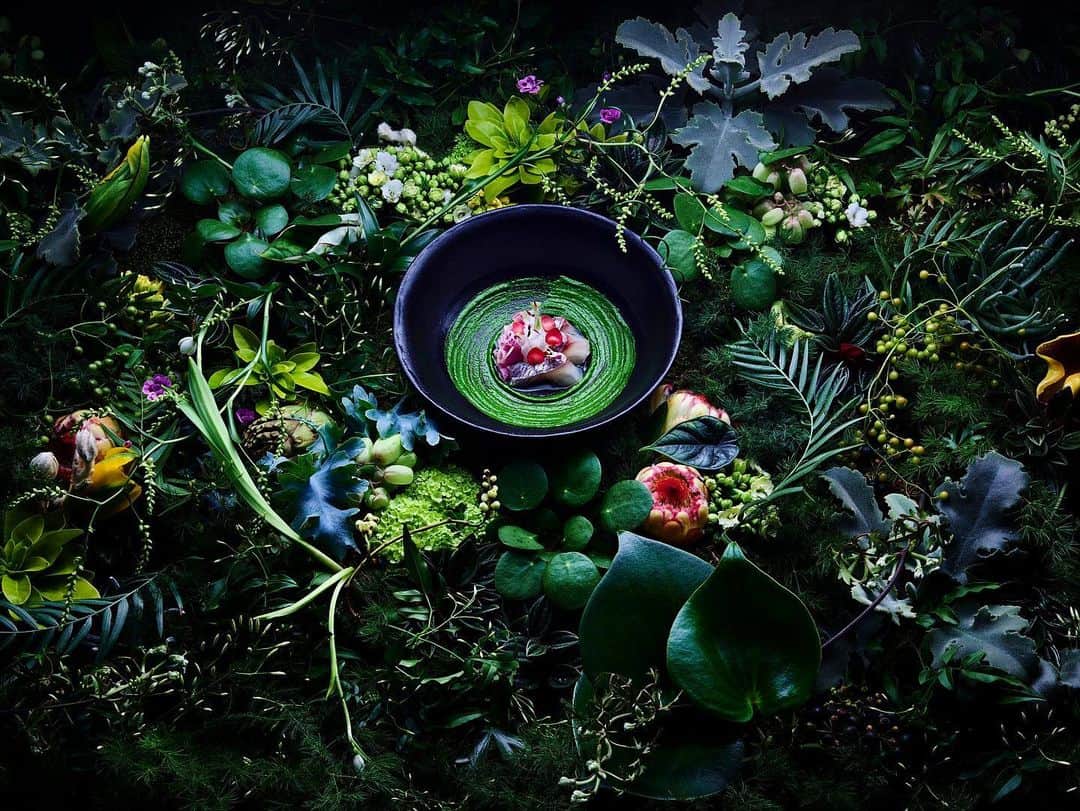 東信のインスタグラム：「Artwork for Miele  #miele #mastercool #LifeBeyondOrdinary #azumamakoto #amkkproject #東信花樹研究所 #flowerart」