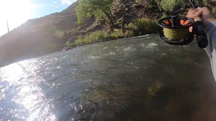 ジェイコブ・ダルトンのインスタグラム：「Haven’t fished the river in a while so I decided to get out last week ! New video is live! 🎥  #OneThousandHobbies  #FlyFishing  #Rivers」