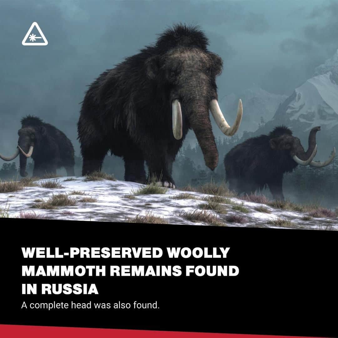 クリス・ハードウィックさんのインスタグラム写真 - (クリス・ハードウィックInstagram)「Locals on the Yamal peninsula in the Russian Arctic recently found an ancient treasure washed ashore: the remains of a woolly mammoth. ⁠ link in bio」7月30日 5時01分 - nerdist