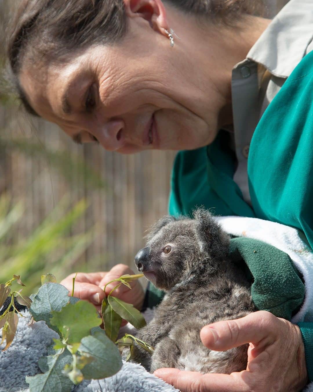 San Diego Zooさんのインスタグラム写真 - (San Diego ZooInstagram)「Congress is in the process of negotiating the next round of COVID-19 emergency funding. We need your help! Urge your friends, family, and community to contact their legislators and ask to include funding for zoos and aquariums. Please share this post in your story and visit: bit.ly/HelpZoosAndAquariums for more information. #HelpZoos #HelpAquariums」7月30日 5時11分 - sandiegozoo