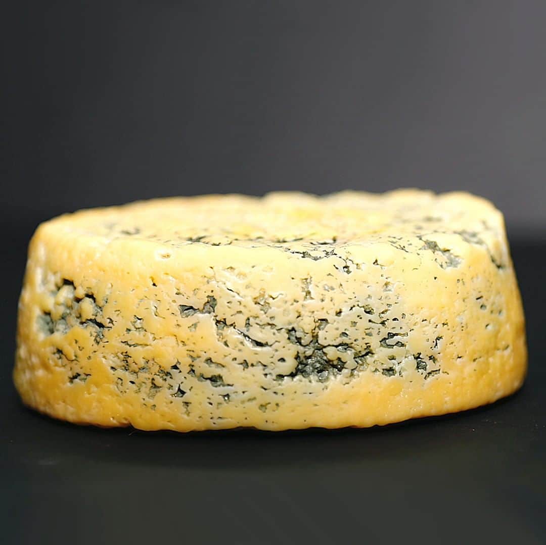 TED Talksのインスタグラム：「🚨 Gross alert! 🚨 This delicious looking cheese actually was made using bacteria from IN BETWEEN SOMEONE'S TOES. 🤢  That someone is Christina Agapakis, and even though her footy feta is a little nauseating, it's for a good cause! As an artist and biological designer, she uses synthetic biology to help us imagine a different kind of future, blurring the line between what's natural and artificial. "We've been promised a future of chrome," she says in her TED Talk. "But what if the future is fleshy?" For more, including a suitcase of rainbow poop (seriously!) check out the link in our bio.」
