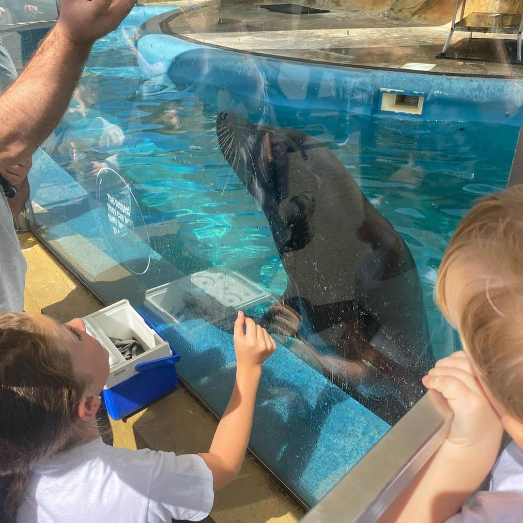 スティーヴン・デイヴィスさんのインスタグラム写真 - (スティーヴン・デイヴィスInstagram)「Brilliant family day out @blairdrummondsafaripark. Huge thanks to @graeme.alexander90 & @steviec1980, kids absolutely loved it」7月30日 6時05分 - s_davis_8