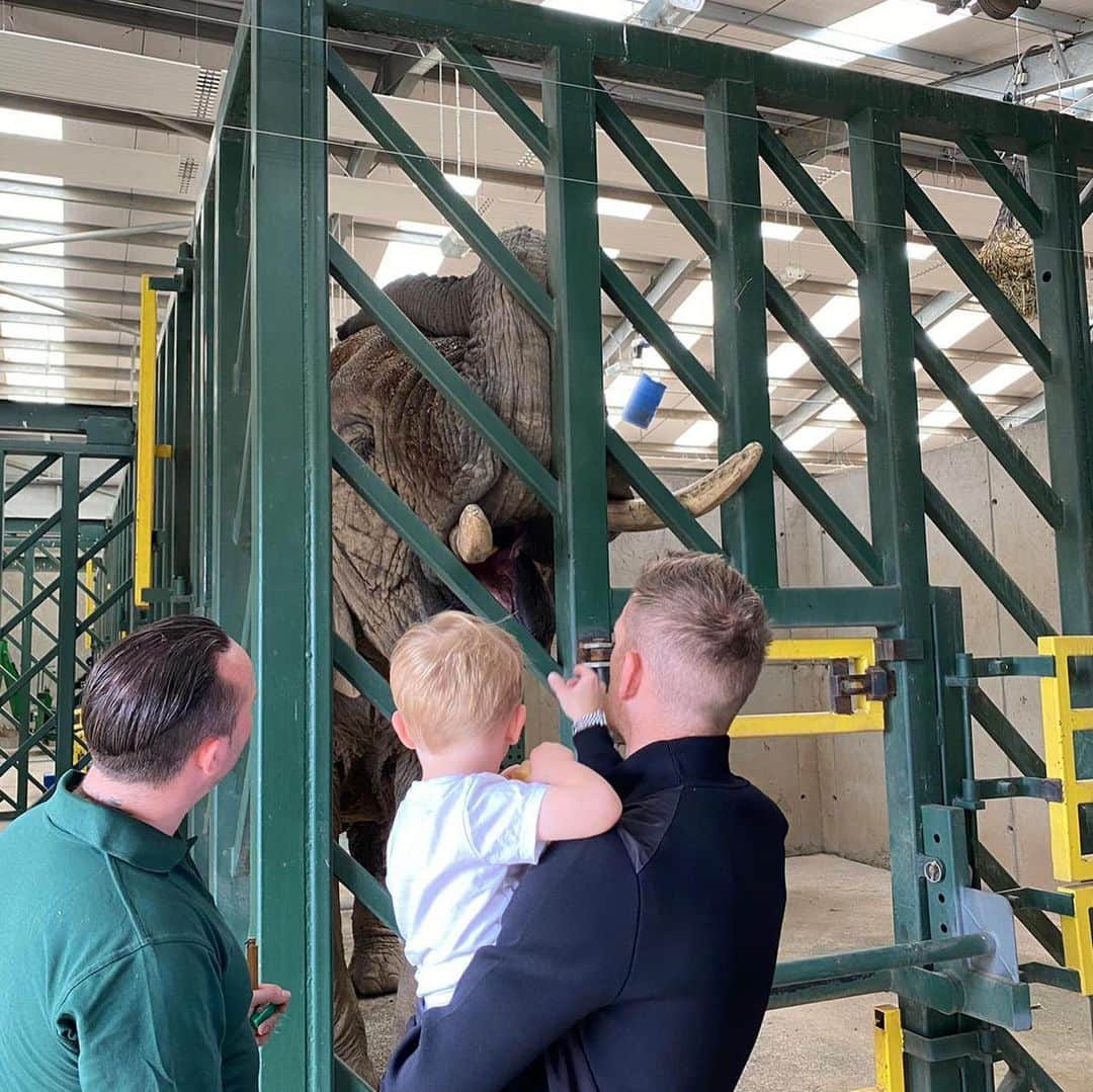 スティーヴン・デイヴィスさんのインスタグラム写真 - (スティーヴン・デイヴィスInstagram)「Brilliant family day out @blairdrummondsafaripark. Huge thanks to @graeme.alexander90 & @steviec1980, kids absolutely loved it」7月30日 6時05分 - s_davis_8