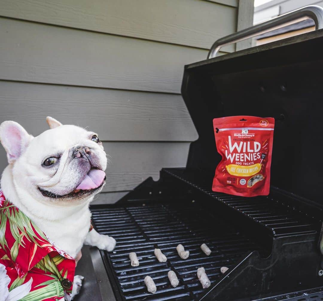 Sir Charles Barkleyのインスタグラム：「Grilling for the fam tonight. Hope they like #wildweenies! #moreforme @stellaandchewys #ad」