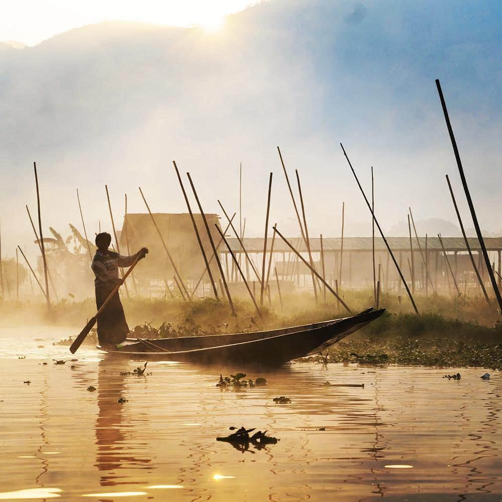 thephotosocietyさんのインスタグラム写真 - (thephotosocietyInstagram)「Photo by Ira Block @irablockphoto  A boat approaches a floating village on Inle Lake in Shan State, Myanmar. There are numerous floating villages on the 44square mile lake (116 Sq km), most involved in fishing, weaving and agriculture - from the floating gardens and plants. The lake is suffering from many environmental concerns, not the least of which is untreated sewage from the village homes.  . . . #inlelake #myanmar #floatingvillages #fishing #irablock」7月30日 11時40分 - thephotosociety