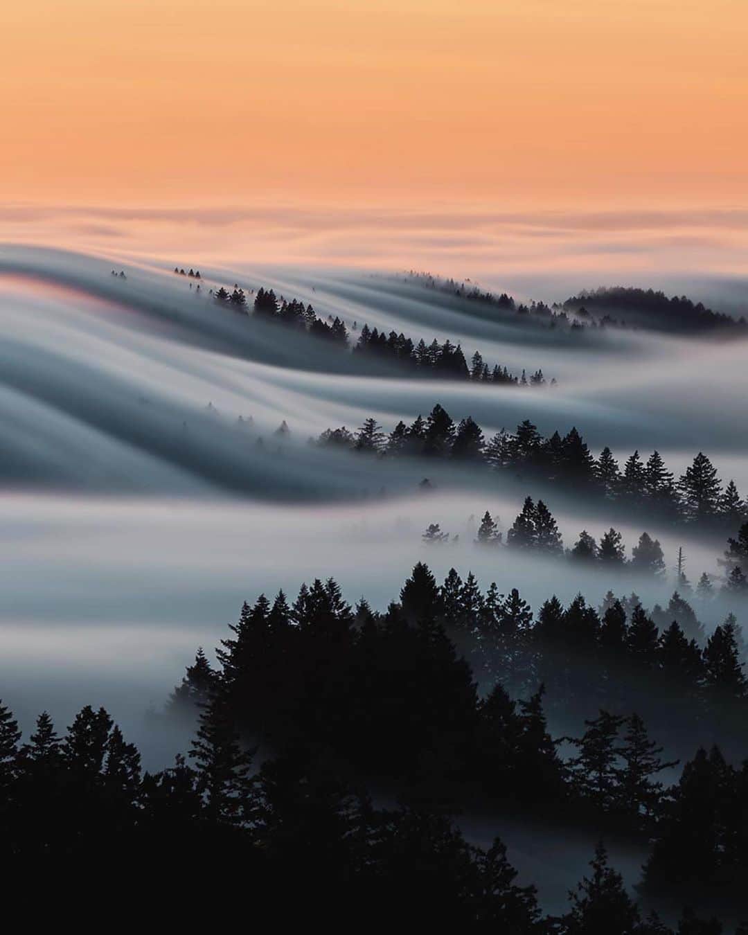 Canon Photographyさんのインスタグラム写真 - (Canon PhotographyInstagram)「The fog wave 🌊 Photography  @meshna Curated by @steffeneisenacher  #bayarea #california #cali #sanfrancisco #fogwave #fog」7月30日 6時43分 - cpcollectives