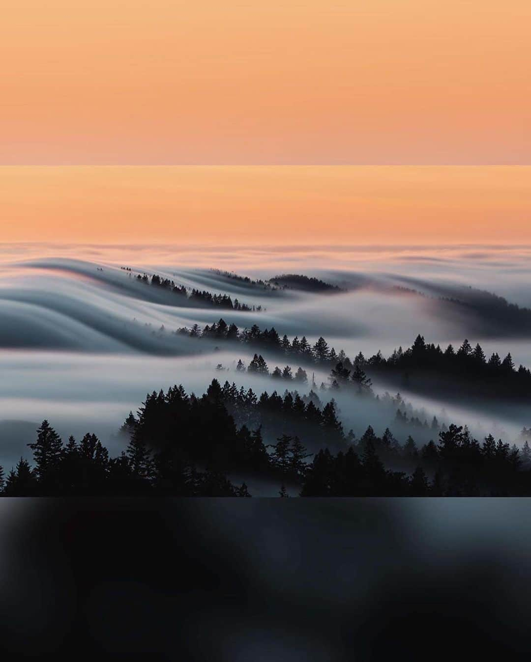 Canon Photographyさんのインスタグラム写真 - (Canon PhotographyInstagram)「The fog wave 🌊 Photography  @meshna Curated by @steffeneisenacher  #bayarea #california #cali #sanfrancisco #fogwave #fog」7月30日 6時43分 - cpcollectives