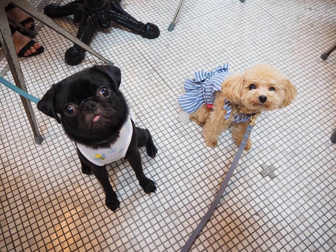 くるみたんのグルメインスタ