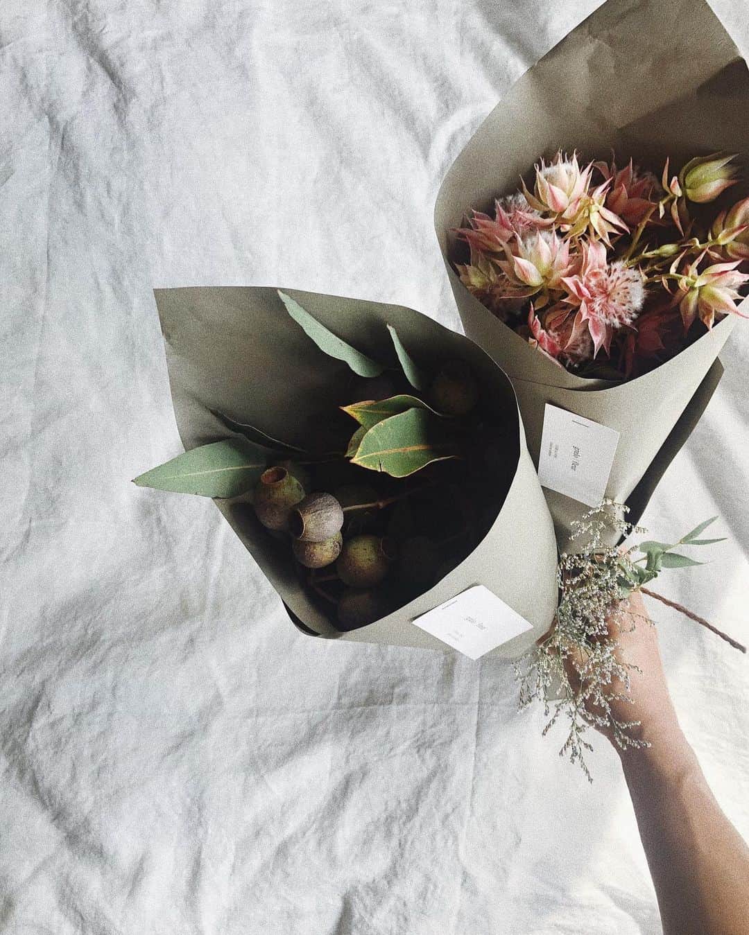 陣内勇人さんのインスタグラム写真 - (陣内勇人Instagram)「. summer bouquet やっぱり もらうのも 嬉しい。  セルリアフロリダと トランペットユーカリと。  #flower #bouquet #grelo」7月30日 9時13分 - hayato.jinnouchi