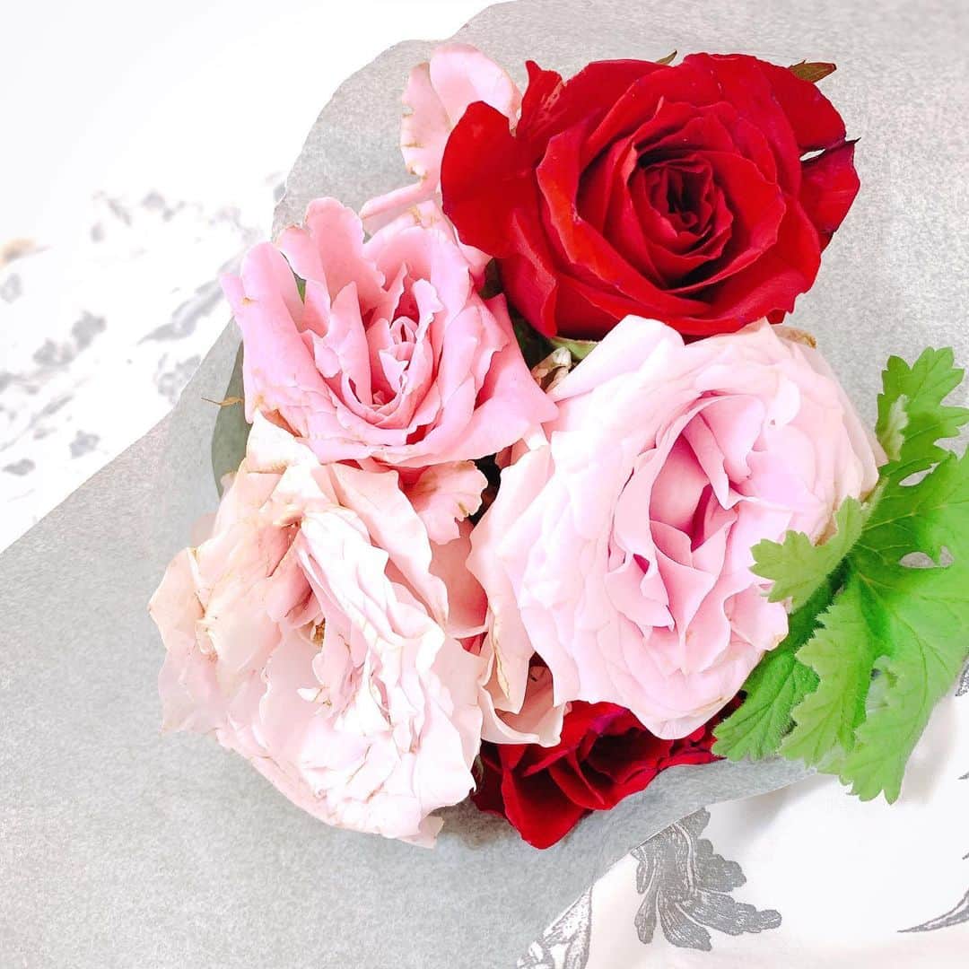 並川花連さんのインスタグラム写真 - (並川花連Instagram)「薔薇の花言葉知ってる？🌹」7月30日 9時41分 - kareurn