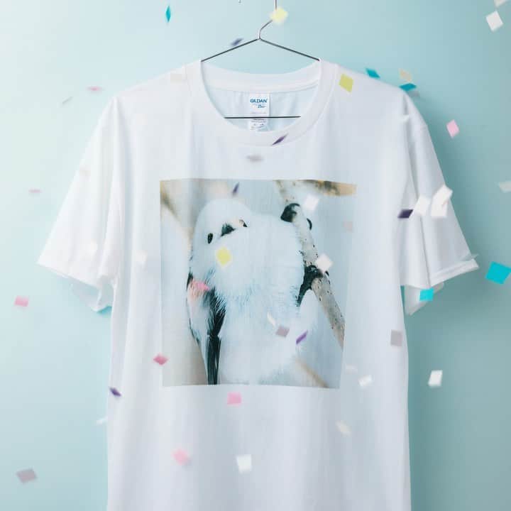のインスタグラム：「✨フォロー＆コメントでフォトT当たる！✨﻿ ﻿ ６人のクリエイターが作った「この夏着たいオリジナルフォトTシャツ」をプレゼント！﻿ ﻿ 北海道だけに生息する小さな鳥・シマエナガの姿を撮影した写真集『ぼく、シマエナガ』（しずく書房）が人気を博した写真家のやなぎさわごう（　@boku_shimaenaga ）さん。﻿ ﻿ 「まんまるいのはシマエナガが防寒のため羽のなかに空気をいれて膨らんでいるから。人間はかわいいと思いますが、厳しい自然の中を必死で生きている姿なんです。最も寒さが厳しい２月に撮影したシマエナガの写真を選びました」（やなぎさわさん）﻿ ﻿ @fujifilmjp_walldecor をフォロー＆投稿へのコメントで応募完了！奮ってご応募ください！﻿ ﻿ ﻿ ＝＝＝＝応募方法＝＝＝＝﻿ ﻿ ①「写真と、ちょっといい暮らし。」Instagram（ @fujifilmjp_walldecor ）をフォロー。﻿ ②ご希望のTシャツの投稿にコメント。﻿ ﻿ ※応募期間：2020年7月30日（木）～8月14日（金） ﻿ ※抽選の上、各1名様にプレゼント。﻿ ※結果発表は当選者にInstagramのダイレクトメッセージでご連絡致しますので（8月下旬予定）、アカウント（ @fujifilmjp_walldecor ）を必ずフォローしてください。フォローをはずされておりますとご連絡ができなくなりますのでご注意ください。﻿ ※サイズは、Mサイズ（鈴木さん、キムヤンスさん、やなぎさわごうさん）、Lサイズ（口尾さん、高木さん、エイドリアン・ホーガンさん）。﻿ ﻿ 記事はプロフィールURLからどうぞ▶ @fujifilmjp_walldecor  ﻿ #写真とちょっといい暮らし #fujifuilm #富士フイルム #インテリア #photography #art #おうち時間 #写真 #写真を飾る #写真好きな人と繋がりたい #オリジナルギフト #オリジナルグッズ  #Tシャツ #オリジナルTシャツ #夏 #夏休み #プレゼント #Tシャツプレゼント #プレゼントキャンペーン#キャンペーン #グラフィックTシャツ #フォトシャツ#フォトT #白T #プレゼント企画 #シマエナガ #シマエナガちゃん」