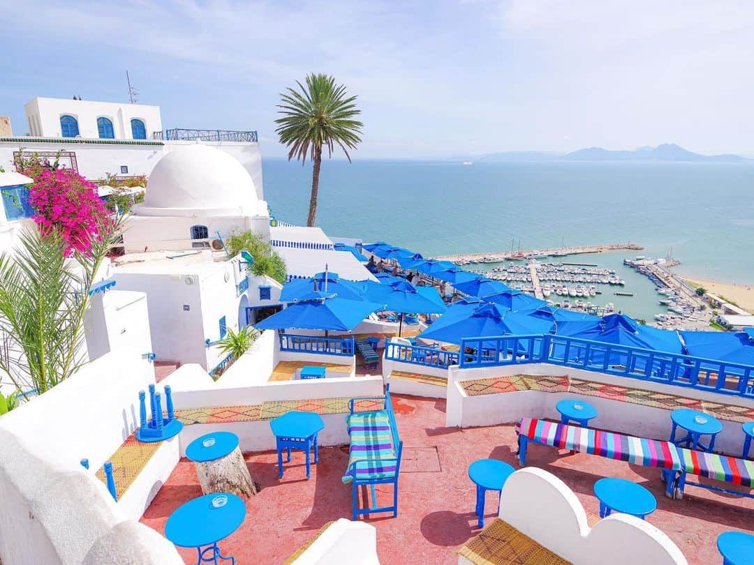 田島知華さんのインスタグラム写真 - (田島知華Instagram)「【Tunisia🇹🇳Sidi Bou Said】 美しきアフリカのリゾート、シディ・ブ・サイド。 2年前にチュニジア各地を訪れ、旅の中で特に癒しとなった場所です。 青と白をベースにお花やタイルで彩られた家、そして街の至るところから望める地中海🐬 まさに小説に出てくるような楽園…！ チュニジアには知られざる魅力がたくさんありました。  一度訪れたことでチュニジアという国が近く感じられるようになったのに、また遠くなっちゃった。。 必ず再訪したい街リストのひとつです📝 Copyright © TAJIHARU  PENTAX K-1 MarkⅡ  HD PENTAX-D FA 15-30mmF2.8ED SDM WR HD PENTAX-D FA 28-105mmF3.5-5.6ED DC WR _ #たじはるトリップ #TAJIHARU_tunisia #チュニジア #チュニス #シディブサイド #女子旅 #旅ガール #カメラ女子 #トラベルフォトライター #tunisia #tunis #sidibousaid #africa #igersafrica #visittunisia #bougainvillea #beautifuldestinations #beautifulmatters #wonderful_places #theprettycities #beautifulplace #earthpix #discoverglobe #discoverearth #discover_earthpix #wonderful_places #beautifulplace」7月30日 19時44分 - haruka_tajima