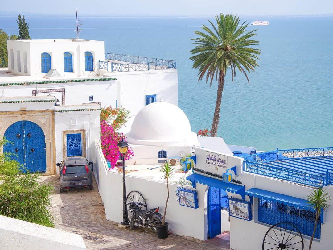 田島知華さんのインスタグラム写真 - (田島知華Instagram)「【Tunisia🇹🇳Sidi Bou Said】 美しきアフリカのリゾート、シディ・ブ・サイド。 2年前にチュニジア各地を訪れ、旅の中で特に癒しとなった場所です。 青と白をベースにお花やタイルで彩られた家、そして街の至るところから望める地中海🐬 まさに小説に出てくるような楽園…！ チュニジアには知られざる魅力がたくさんありました。  一度訪れたことでチュニジアという国が近く感じられるようになったのに、また遠くなっちゃった。。 必ず再訪したい街リストのひとつです📝 Copyright © TAJIHARU  PENTAX K-1 MarkⅡ  HD PENTAX-D FA 15-30mmF2.8ED SDM WR HD PENTAX-D FA 28-105mmF3.5-5.6ED DC WR _ #たじはるトリップ #TAJIHARU_tunisia #チュニジア #チュニス #シディブサイド #女子旅 #旅ガール #カメラ女子 #トラベルフォトライター #tunisia #tunis #sidibousaid #africa #igersafrica #visittunisia #bougainvillea #beautifuldestinations #beautifulmatters #wonderful_places #theprettycities #beautifulplace #earthpix #discoverglobe #discoverearth #discover_earthpix #wonderful_places #beautifulplace」7月30日 19時44分 - haruka_tajima