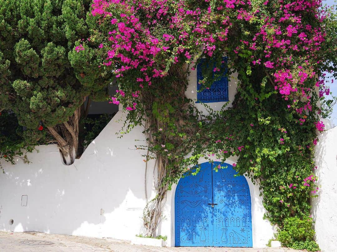 田島知華さんのインスタグラム写真 - (田島知華Instagram)「【Tunisia🇹🇳Sidi Bou Said】 美しきアフリカのリゾート、シディ・ブ・サイド。 2年前にチュニジア各地を訪れ、旅の中で特に癒しとなった場所です。 青と白をベースにお花やタイルで彩られた家、そして街の至るところから望める地中海🐬 まさに小説に出てくるような楽園…！ チュニジアには知られざる魅力がたくさんありました。  一度訪れたことでチュニジアという国が近く感じられるようになったのに、また遠くなっちゃった。。 必ず再訪したい街リストのひとつです📝 Copyright © TAJIHARU  PENTAX K-1 MarkⅡ  HD PENTAX-D FA 15-30mmF2.8ED SDM WR HD PENTAX-D FA 28-105mmF3.5-5.6ED DC WR _ #たじはるトリップ #TAJIHARU_tunisia #チュニジア #チュニス #シディブサイド #女子旅 #旅ガール #カメラ女子 #トラベルフォトライター #tunisia #tunis #sidibousaid #africa #igersafrica #visittunisia #bougainvillea #beautifuldestinations #beautifulmatters #wonderful_places #theprettycities #beautifulplace #earthpix #discoverglobe #discoverearth #discover_earthpix #wonderful_places #beautifulplace」7月30日 19時44分 - haruka_tajima