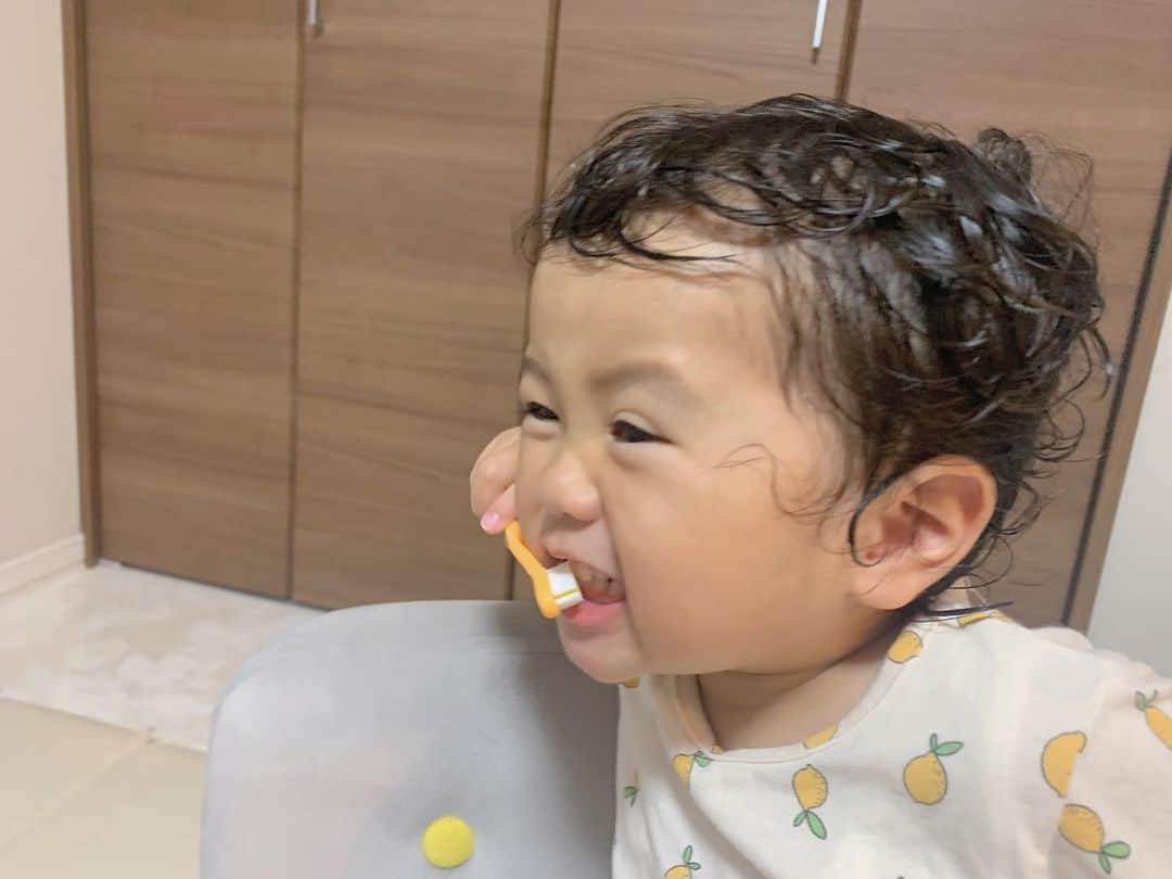 ともみさんのインスタグラム写真 - (ともみInstagram)「. お風呂上がりに歯磨き♪ 虫歯無しの健康な歯を保ちたい🥺💡 . . まねっこはみがき動画が人気な  @manekko.hamigaki さんでフォトコンテストが開催されるそうなのでシェア🙌✨ . ☆キャンペーン参加の手順は 8/3(月)～8/16(日)の応募期間に 1. @manekko.hamigaki をフォロー 2. #歯Naviはみがきフォトコンテスト をつけて、子供が楽しそうに歯を磨いている姿を写真で投稿すれば完了👌 . ぜひ参加してみてください☺️🦷 .  #歯Naviはみがきフォトコンテスト #まねっこはみがき #歯ニメーション動画 #歯navi #pr #歯磨き #歯ブラシ #こどものいる暮らし #2歳 #こどもと暮らす #育児日記」7月30日 20時01分 - yuzu_haru_18