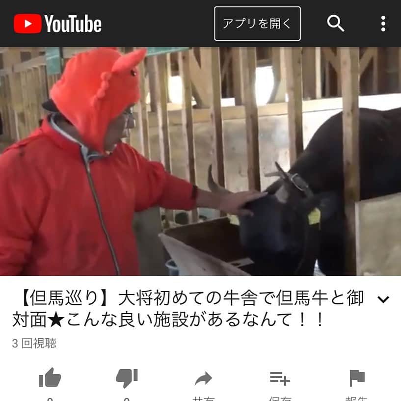 朝市広場のグルメインスタ