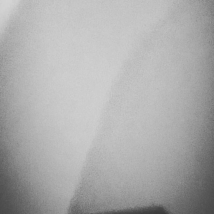 のインスタグラム：「I finally lost it」