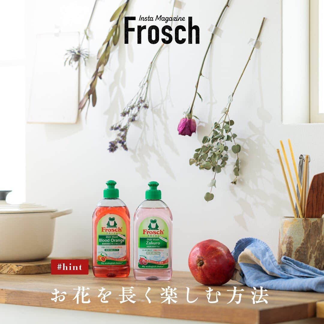 のインスタグラム：「「ロスフラワー」という言葉をご存知ですか💐？  生花店で売れ残った花や結婚式などのイベントで使われた花のほとんどは、きれいなまま廃棄されています。 最近では、売れ残った花を買い取り、ドライフラワーにして販売するなどの取り組みも増えているそう。  そういった商品を購入してみたり、飾ったあとの生花を自分でドライフラワーにしてみるのもおすすめです😊  切り花を逆さにして風通しのよい場所に吊るしておけば、手軽にドライフラワーに。バラや千日紅、あじさい、アナベル、エリンジウム、ユーカリなどは、ドライフラワーに向いています。  今回は、ドライフラワーの素敵な飾り方をご紹介。  ドライフラワーを数本用意して、壁にマスキングテープで貼るだけで、殺風景な壁もぐっとおしゃれに。長短をつけて斜めにレイアウトするとリズムが生まれます。 またマスキングテープは落ち着いた色味を選ぶと、ドライフラワーのシックな色合いともマッチして、センスよくまとまります。  ドライフラワーは、花びらが崩れやすいのが難点ですが、崩れた花びらをガラスの容器に入れるだけで、素敵なインテリアに変身。 ドームのように丸みのあるガラス容器を選ぶと雰囲気が出ておすすめです。アロマオイルを垂らしてポプリにしても。  生花とはまた違った魅力のドライフラワーが、花を長く楽しませてくれますね。  #ドライフラワー #ロスフラワー #花 #花瓶 #花のある暮らし #花のある生活 #ルクルーゼ #lecreuset #holmegaard #インテリア #地球にやさしい #サスティナブル #sustainable #エシカル #丁寧な暮らし #SDGs #エコ #eco #自然にやさしい #手肌にやさしい #食器用洗剤 #フロッシュのある暮らし #フロッシュ #Frosch #おうち時間 #おうちじかん」