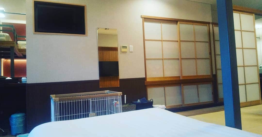 のインスタグラム：「こんにちは(*^^*) 島原温泉ホテル南風楼でございます(^^) ・ 梅雨明け発表された、長崎県北部☀️ 強い日差しです(^-^) ・ 大人気のカゼドック。 ワンちゃんとお泊まり頂ける客室。 2段ベッドがございます。 ・ ゆっくり寝転んで、 テレビが見たいなぁ～。 そんなご要望にお応えして、 ベッドから見える位置に、テレビが設置されました(*´∀`)♪ ・ 南風楼でお過ごし頂く時間が、 安らぎの心地よい時間となりますよぅに✨✨✨ ・ #九州 #長崎 #島原 #雲仙 #島原温泉 #温泉 南風楼 #ホテル南風楼 #楽しい #最高 #カップル #女子会 #インスタ映え #家族旅行 #旅行 #日帰り旅行  #onsen #happy #travel #nagasaki  #青空 #夏 #絶景 #家族 #夏休み  #海  #素敵な景色 #ワンちゃんと泊まれる宿」