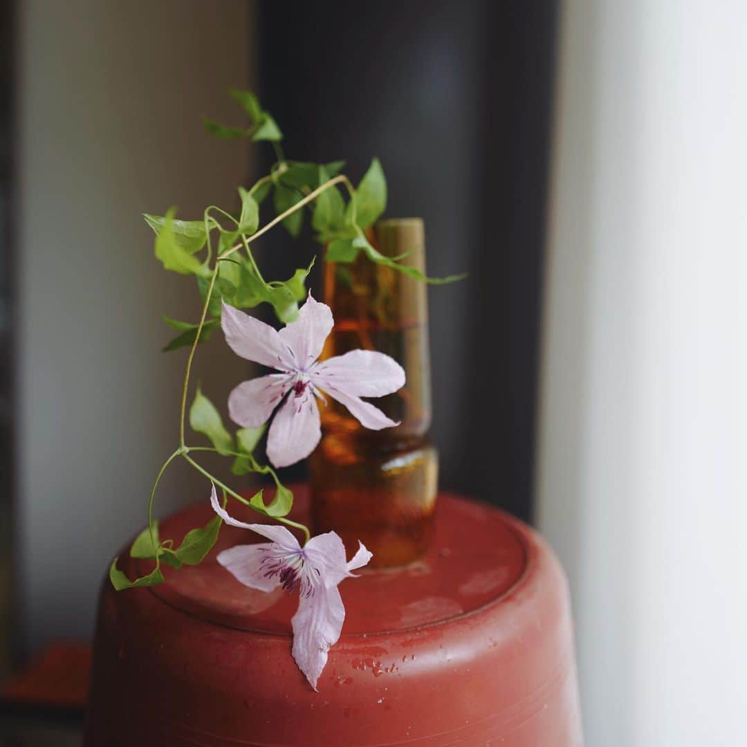 JF flower Shopのインスタグラム